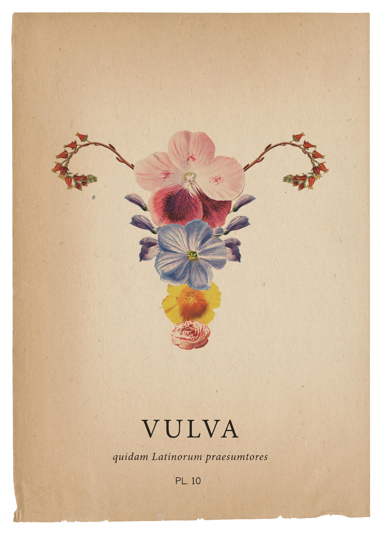 Postkarte `Vulva Flora`