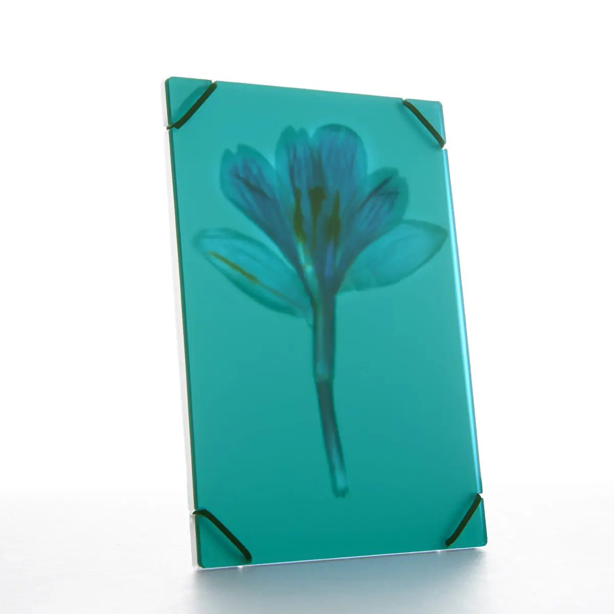 Blumen- Rahmen Small "Azur Blue"